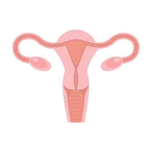 Ovulatory Disorders