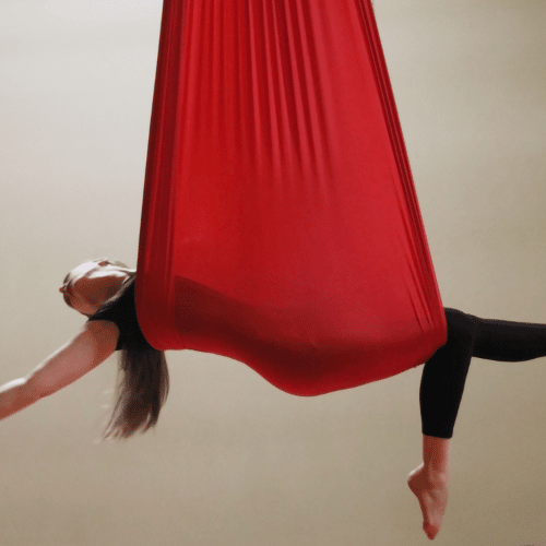 Brandi L. as aerialist