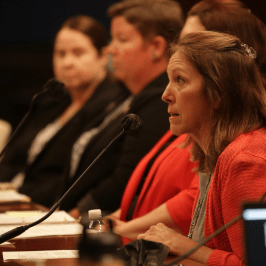 HVAC Testimony Photo